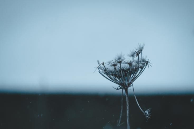 Der Tod und der Diabetiker – Motivierende&nbsp;Gedanken